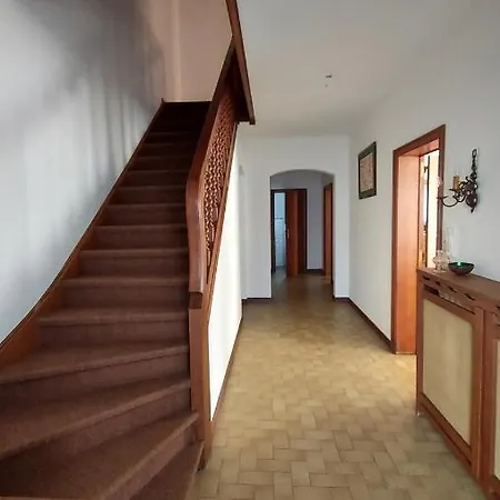 Duinberg R-002 코크시데