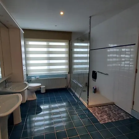 Duinberg R-002 코크시데